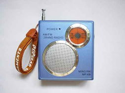 衡陽市金鼎電子有限責任公司 電子產品領域的創新與擔當